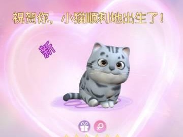 时光公主技能加点攻略（技能加点的技巧和策略，助你在时光公主中游刃有余）