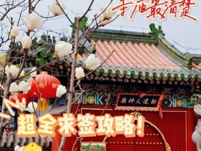 《火神之殿出装攻略》（探索最新技巧，提升游戏实力！）