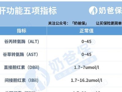 奶爸输出装备选择指南（以奶爸为主角，为你解析最适合的输出装备搭配方案）