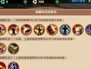 法师刷本技能选择攻略（解析法师技能搭配，为你的冒险之路指引明灯！）