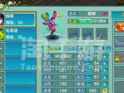 《玩转梦想世界手游天师定位攻略》（打造最强天师，征战梦想世界的必备技巧）