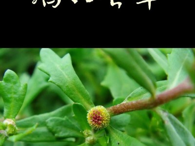 揭开星之彼端氚素的神秘面纱（探究氚素的应用价值和科学意义）