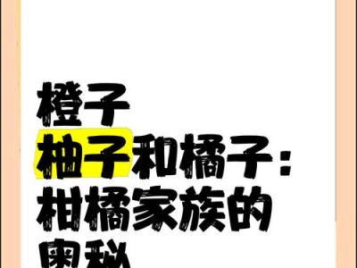 揭秘以橙子谜题攻略第四（挑战思维极限，破解最难关）