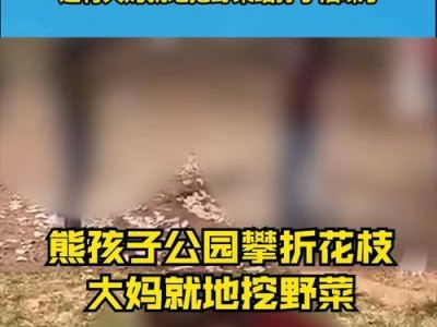 带熊孩子去公园攻略游戏（让孩子尽情享受公园游玩的乐趣）