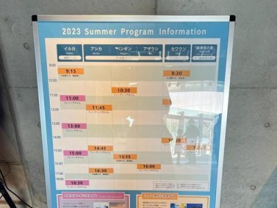 《建造水族馆游戏攻略大揭秘》（学会这些技巧，打造独一无二的水下世界）