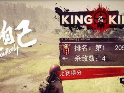 揭秘开放世界游戏主播攻略（探索开放世界的无限可能，成为顶尖游戏主播）