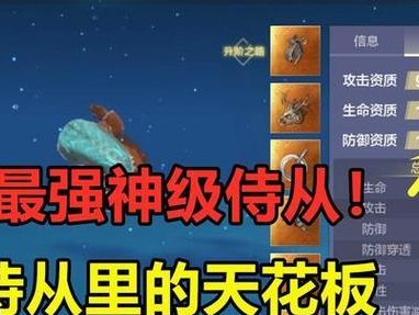 侍从技能攻略表大全图鉴（解锁技能、优化装备、打造无敌阵容，让你成为最强侍从使者！）