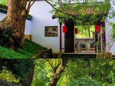 《真龙霸业》书院加点推荐（打造最强书院，从加点开始！）