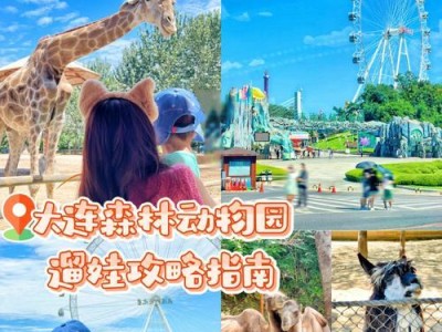 动物园消除战攻略（以动物园消除战为背景，分享打造顶级动物园的关键策略与技巧）