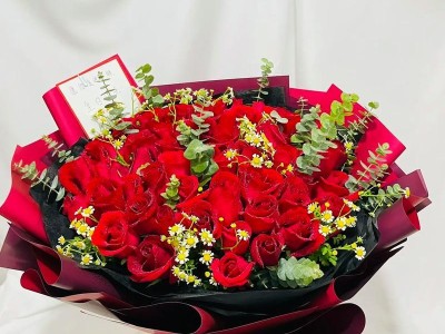 探秘一品月坊鲜花世界的绝美之旅（一品月坊鲜花攻略）