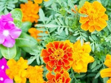 兽王另类出装攻略（剑指巅峰，玩转刀塔战场）