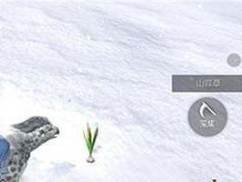 妄想山海招魂灯（如何获得招魂灯？探寻游戏玩法及获取方法）