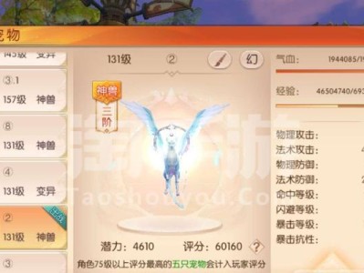 《天空城手游攻略大全》（成为天空之王的必备指南）
