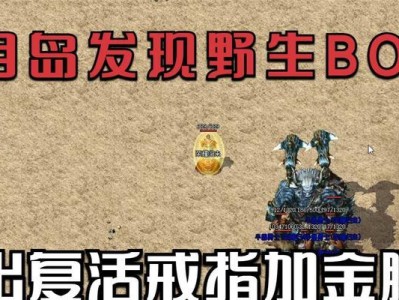 传奇苍月岛出装顺序攻略（一步步为你解析如何选择最佳装备，提升战斗能力）