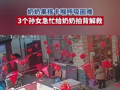 奶奶三孙女游戏攻略——开启亲情乐园（与奶奶共度美好时光，三姐妹玩转亲情游戏）