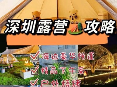 激情生活手游攻略（揭秘新手如何在游戏中体验激情生活，一起来开启冒险之旅吧！）