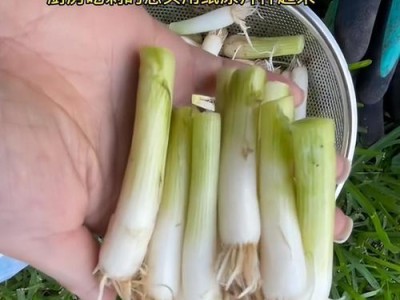 《烟雨江湖幽行步》攻略（解密隐藏任务，打败BOSS成功招募）